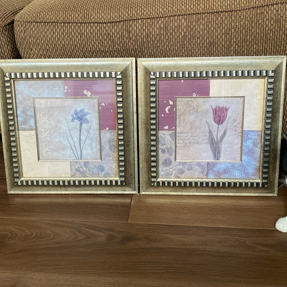 Set of two pictures excellent like new condition